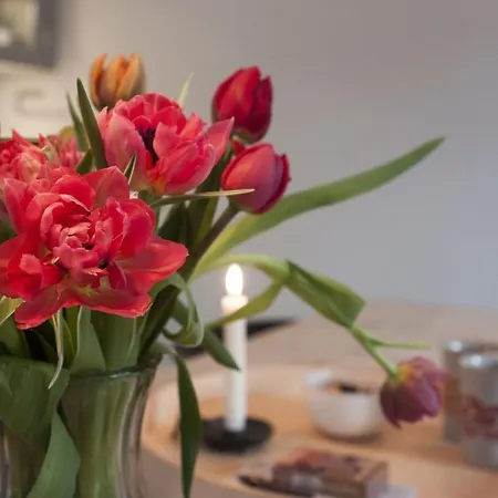 Appartement Styallamar Kopenhagen